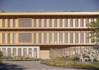 Regular timber fins on facade