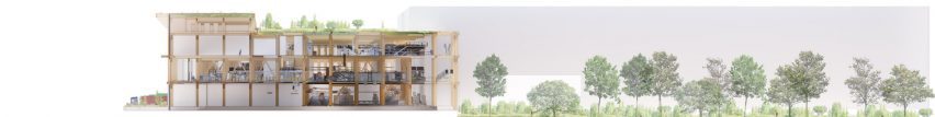 Section drawing of Henning Larsen mass-timber logistics centre