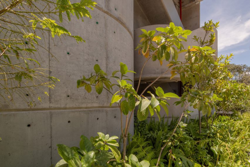 Concrete office building with plants