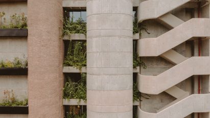 Plants on windows