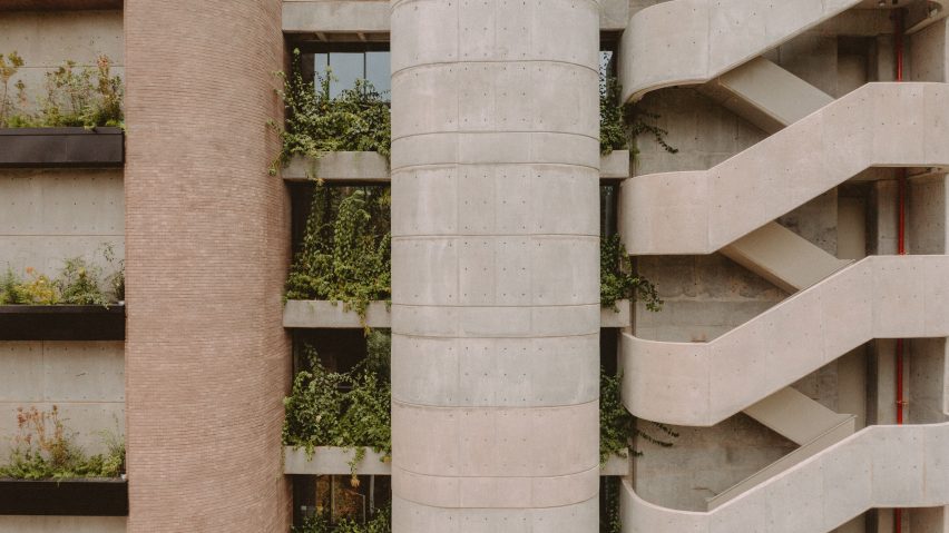Plants on windows