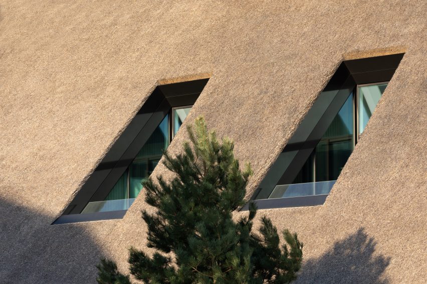 Windows cut into the thatch