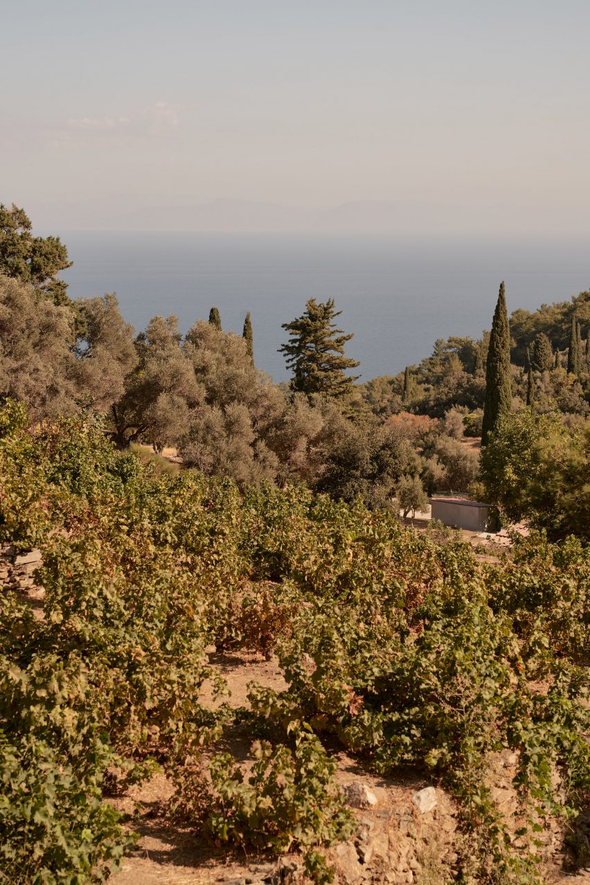 Hillside on a Greek island overlooking the sea