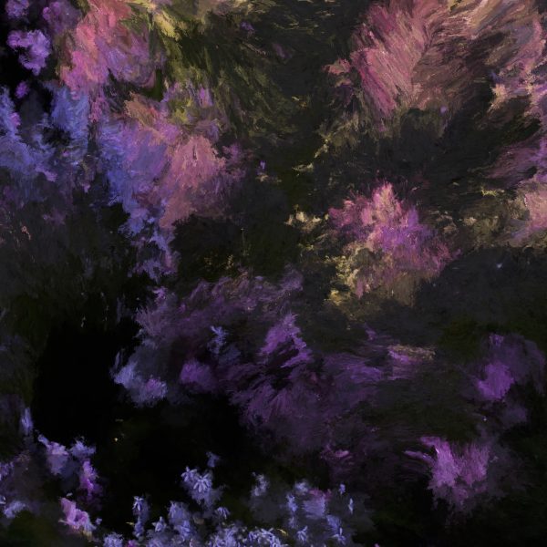 LG OLED x Quayola Jardins d'Été