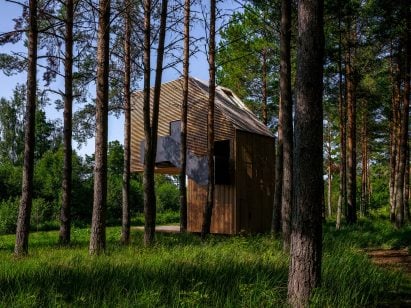 Treehouse hidden in forest