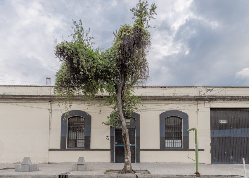 Productora Laguna