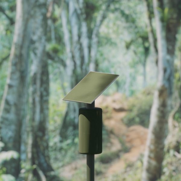 Solar Lookout wildfire detection system situated in a forest