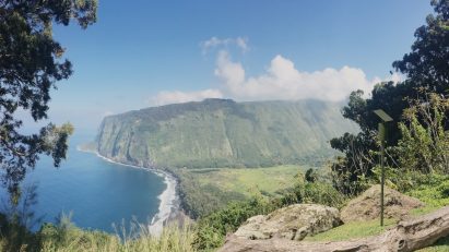 Solar Lookout wildfire detection system situated on a forested hillside