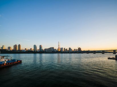 Skyline of Seoul featuring Terrarium Cheong-Dam