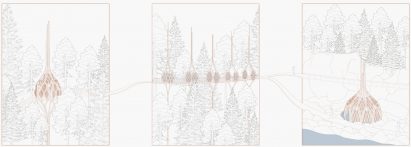 Three visualisations of bulb-like pavilions in forest