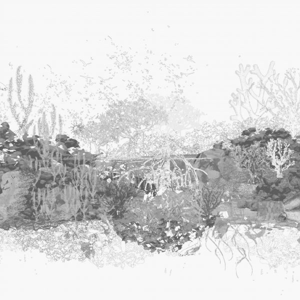 Architectural drawing of an ecosystem by Krian Khurana