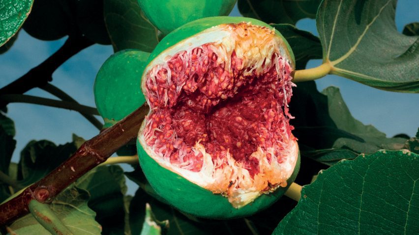 Photo of fruit