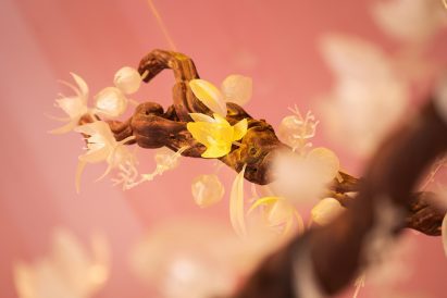 Floral art installation with long branches called The Pollination Dance