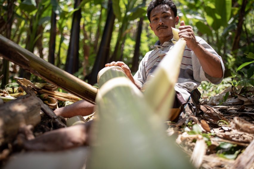 Making process of Bananatex sustainable jersey from abaca banana plant