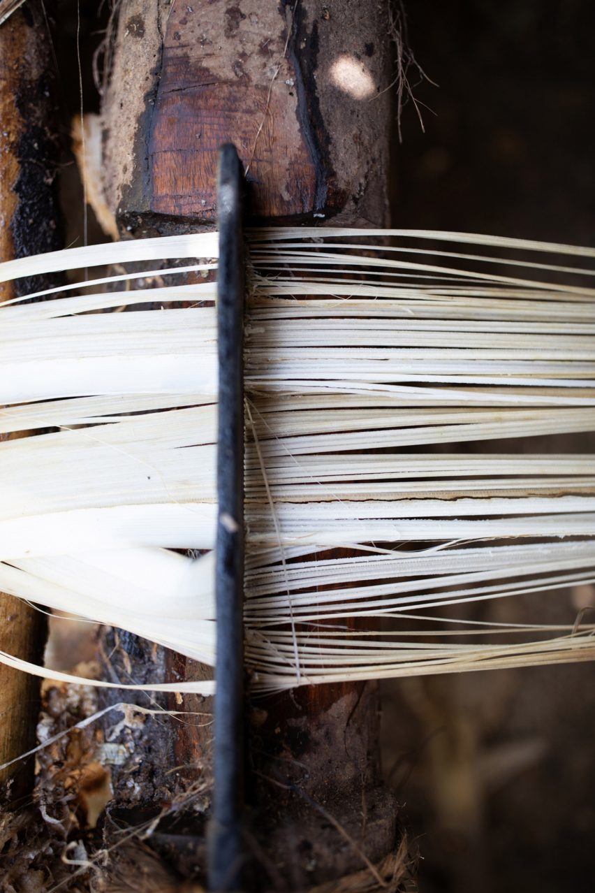 Making process of Bananatex sustainable jersey from abaca banana plant