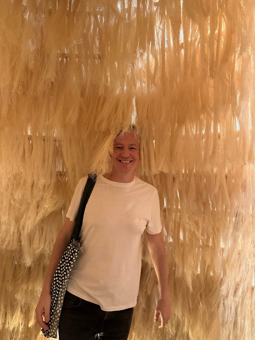 It was noted by some that that the installation resembled my hair...