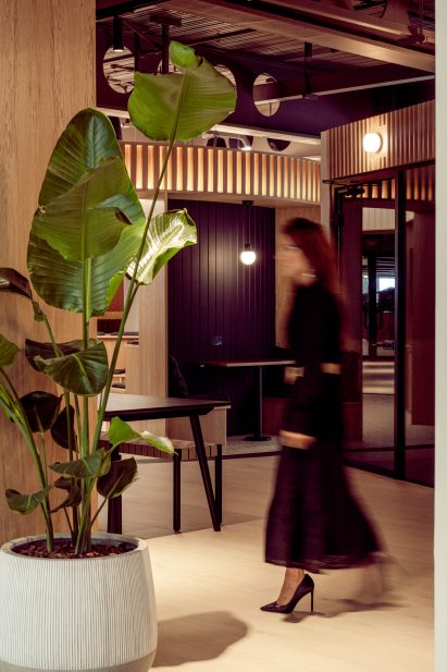 Potted plants and purple hues at the Dentons office