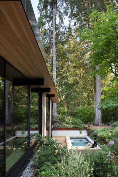 House with large glass widows facing a plunge pool in a garden
