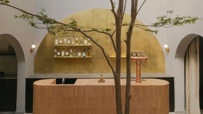 Barde vanVoltt orients renovated Mexico City house around mezcal bar