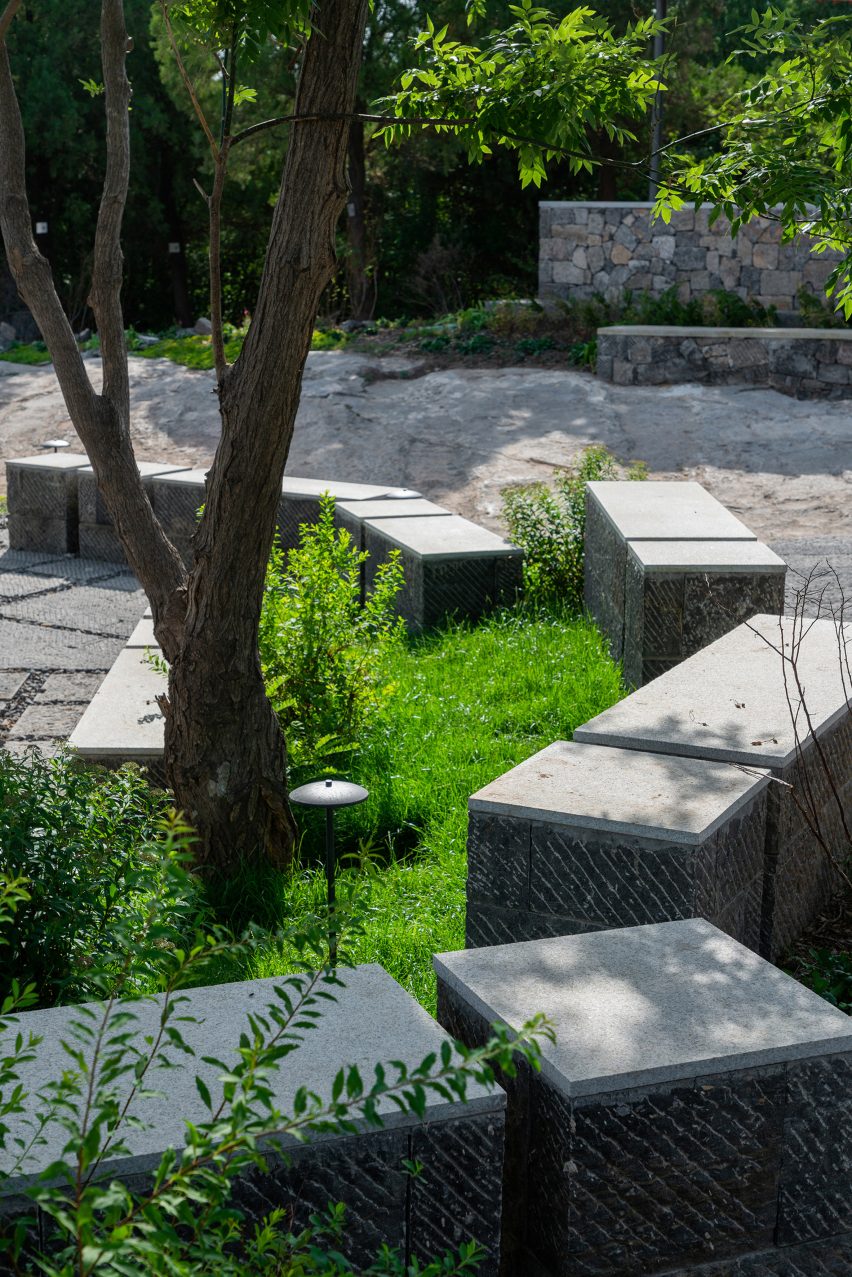 Stone benches arranged around planting