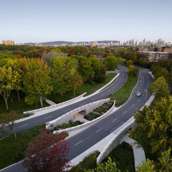 Curving bridge in forested environment with Montreal in background