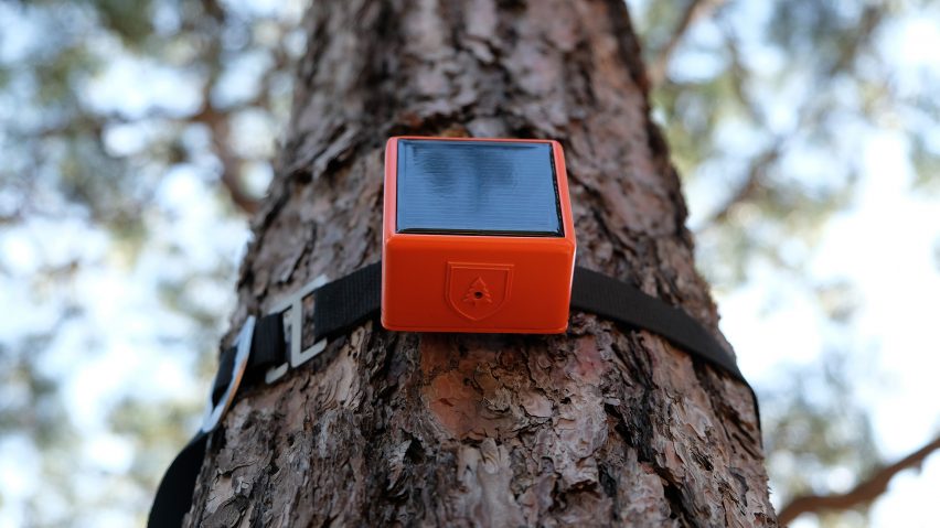 Photo of a ForestGuard device strapped to a tree