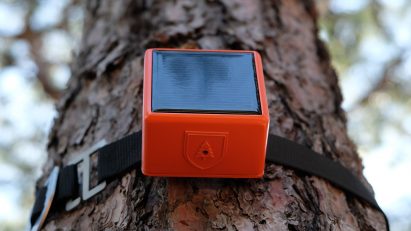 Photo of a ForestGuard device strapped to a tree