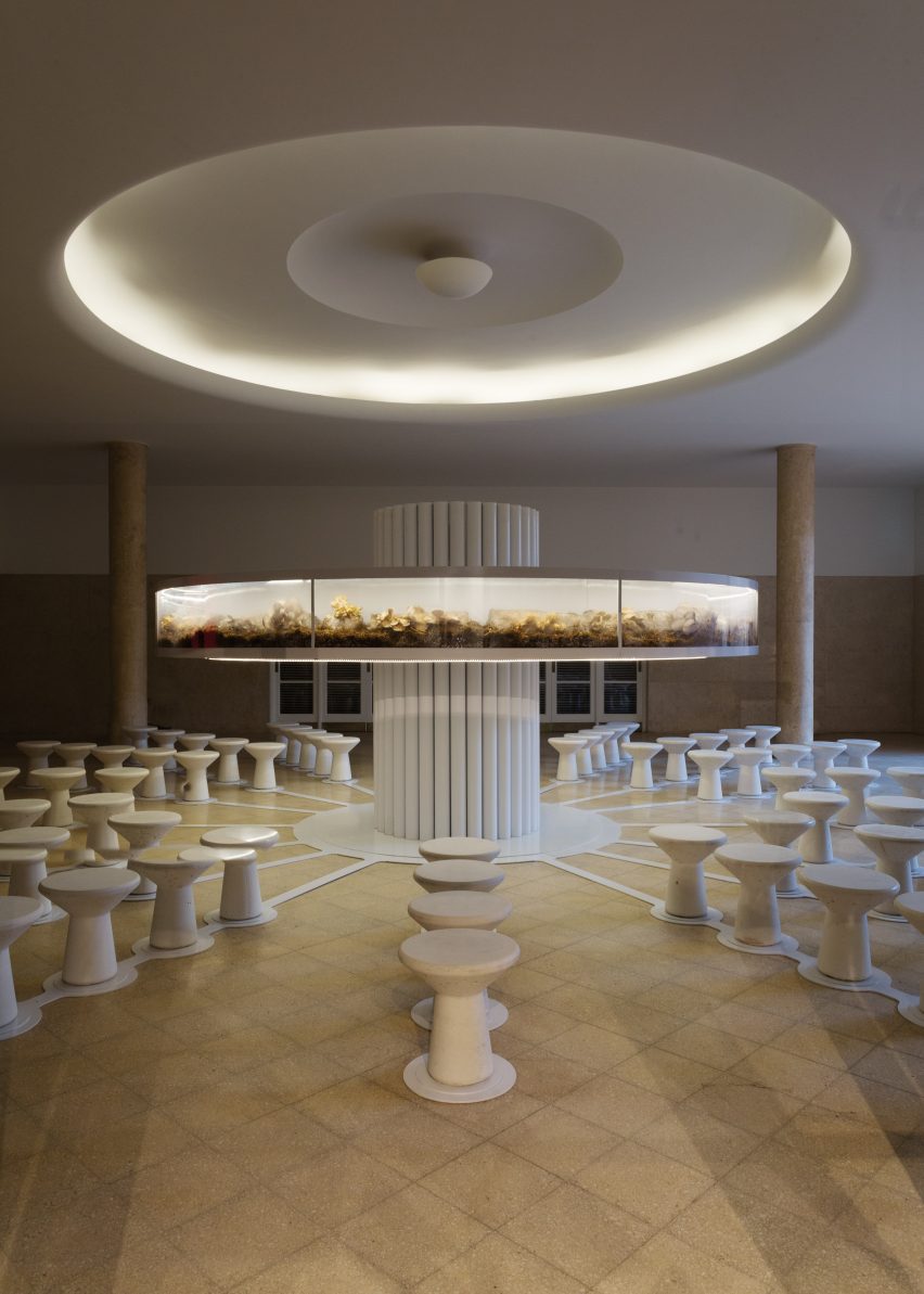 Fungi installation argentina