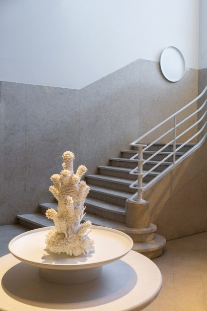 An organic sculpture by Florencia Echevarria
