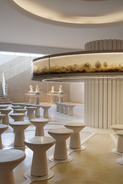 Ring-shaped fungi incubator above mushroom-like stools