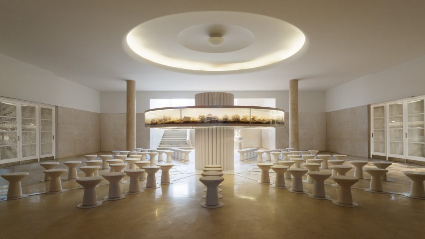 Fungi Kingdom bio-art installation offers contemplative space in Buenos Aires