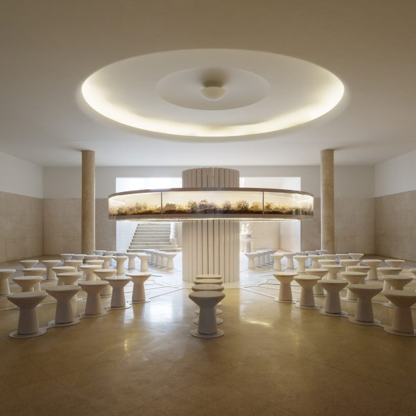 Fungi Kingdom bio-art installation offers contemplative space in Buenos Aires