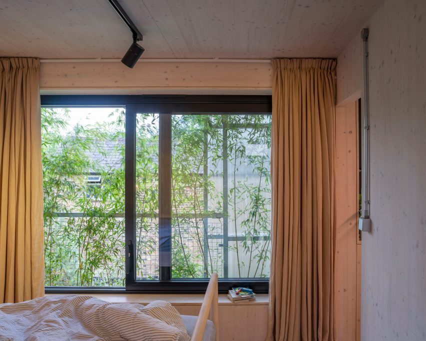 Bedroom with bamboo planting outside the window