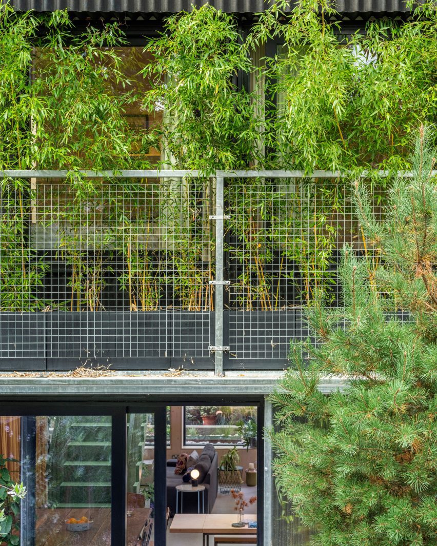 Bamboo planting at Green House by Hayhurst and Co