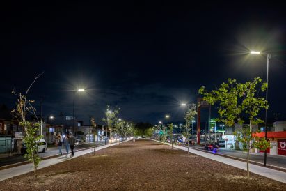 Trees on Teclamec boulevard park