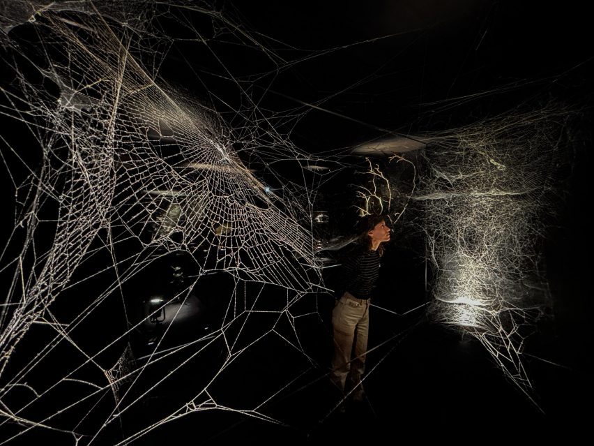 Photo of a very dark gallery room with enormous spiderwebs at either end. A man stands examinging one of them up close
