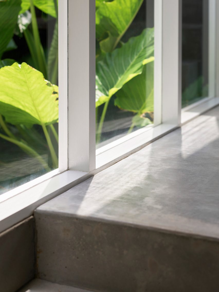 Concrete steps with windows revealing planting