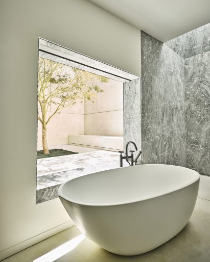 A single tree planted in a concrete courtyard visible from a bathroom