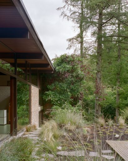 Wild-growing garden outside a Belgian home by Mamout