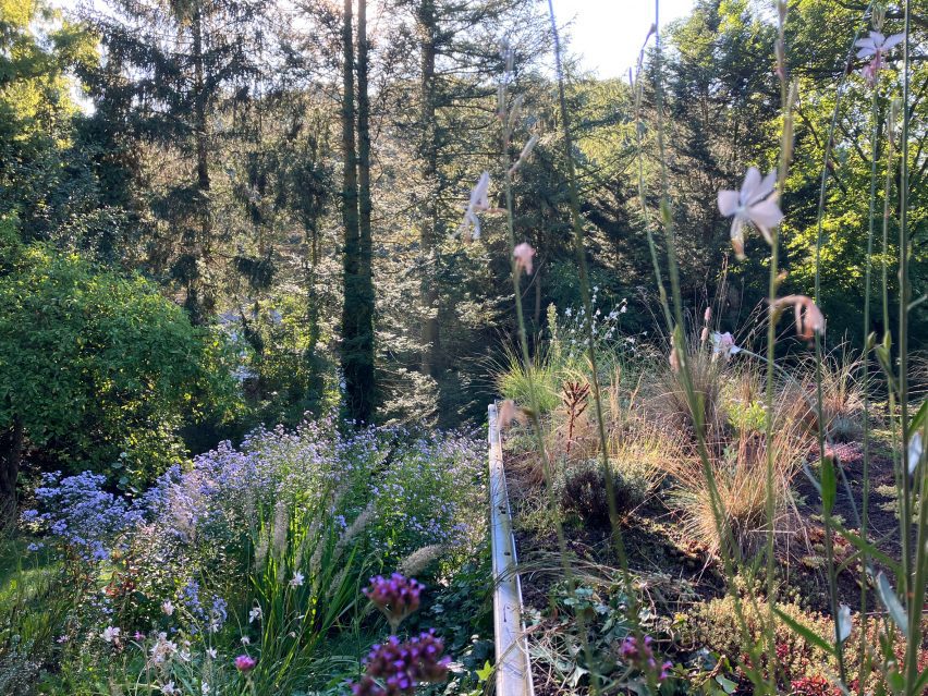 Wild-growing garden in Belgium