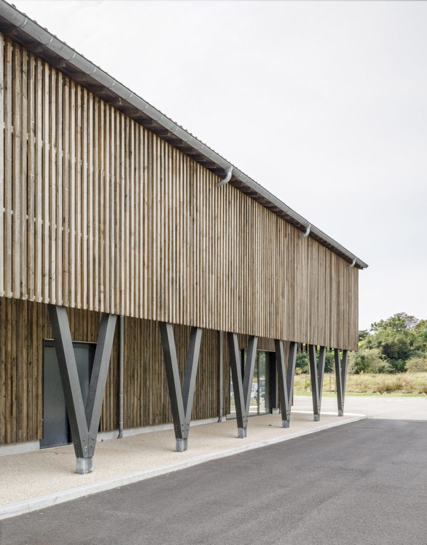 V-shaped columns supporting a timber-clad building