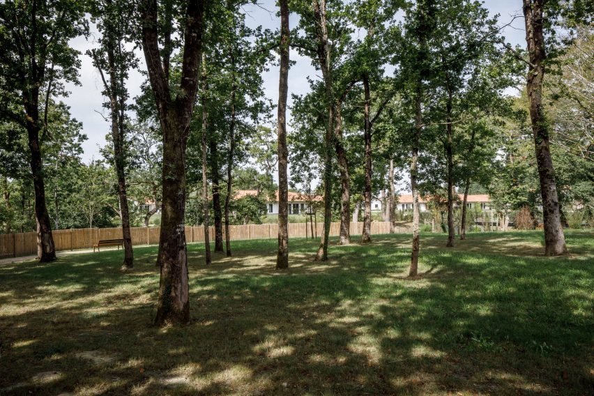 Landscaping surrounding the Alzeimer's Village by NOMO Architects