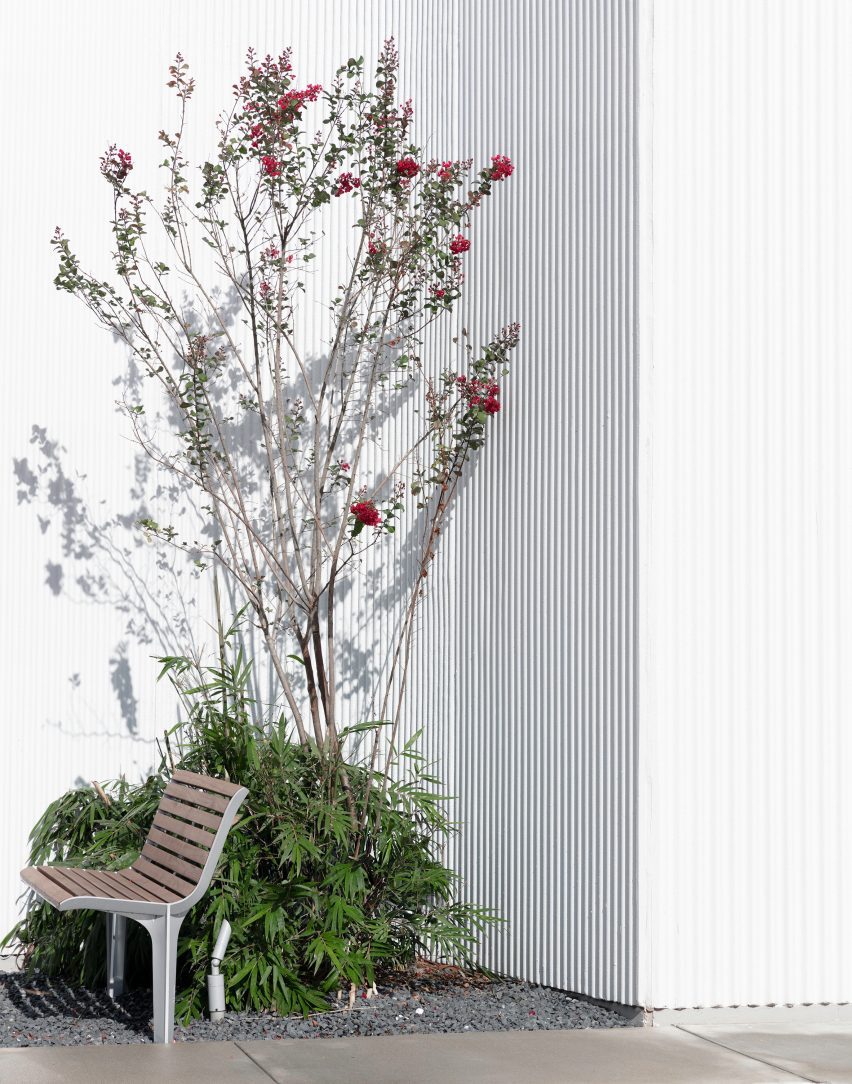A small garden