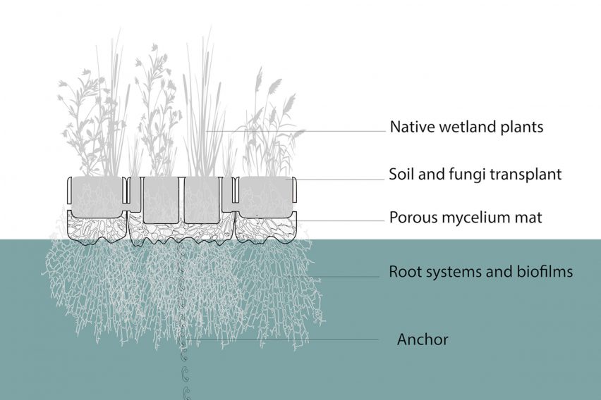 risd biopods floating planting beds diagram