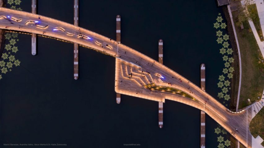 a tessellation diagram of a floating pod made of mycelium