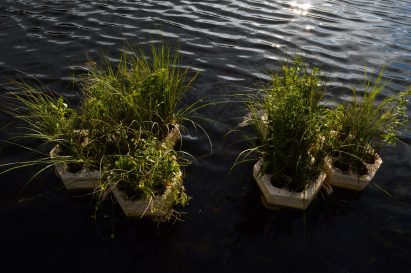 Geometric floating pods made out of mycelium