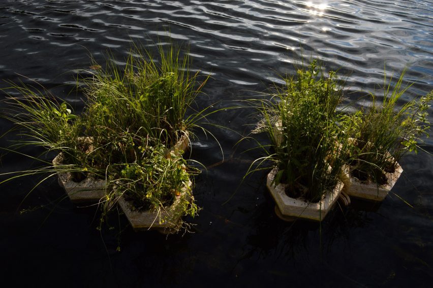 Geometric floating pods made out of mycelium
