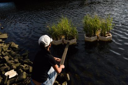 A woman pushing floating pods into a river