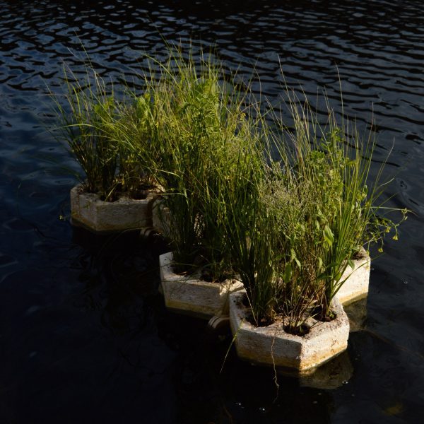 Floating pods made of mycelium
