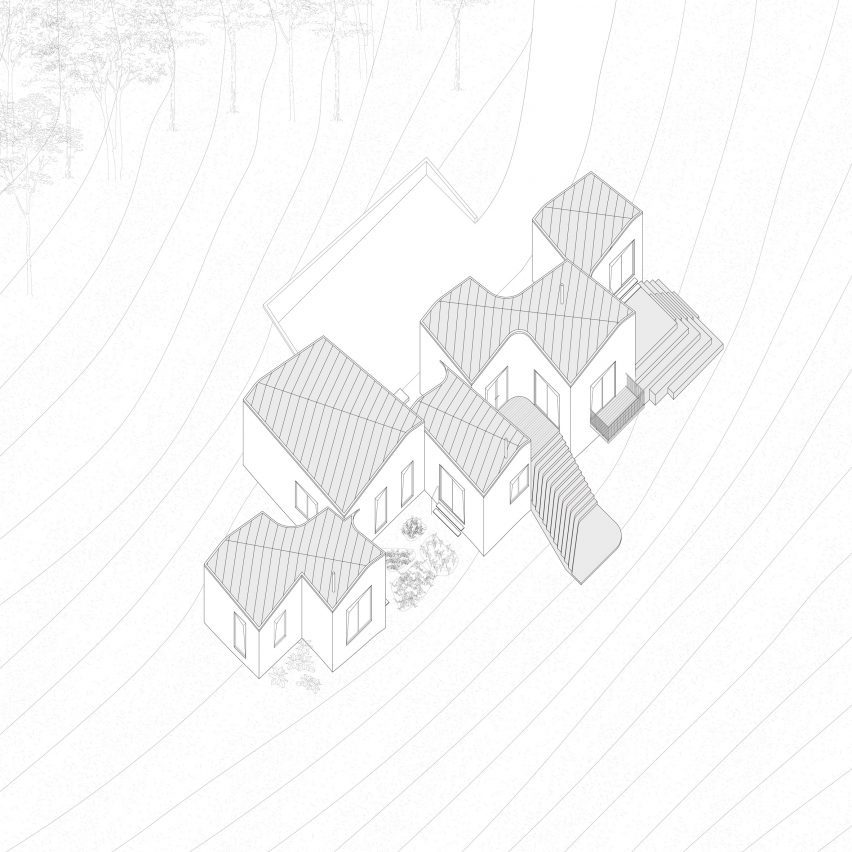 House axon
